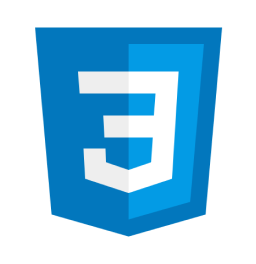 CSS